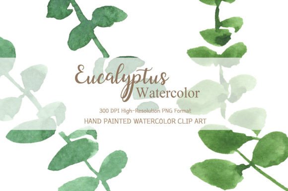 Download Eucalyptus Watercolor Clipart - Eucalyptus watercolor Collection
