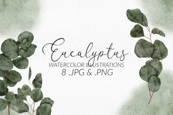 Download Eucalyptus Watercolor Illustration Set - Eucalyptus watercolor Collection