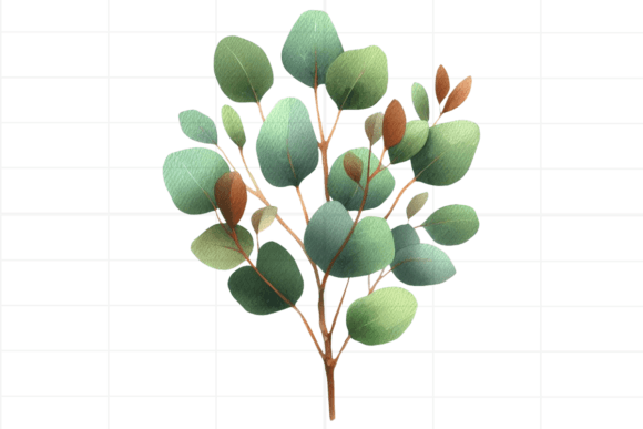 Download Eucalyptus Clipart. Watercolor Greenery - Eucalyptus clipart Collection