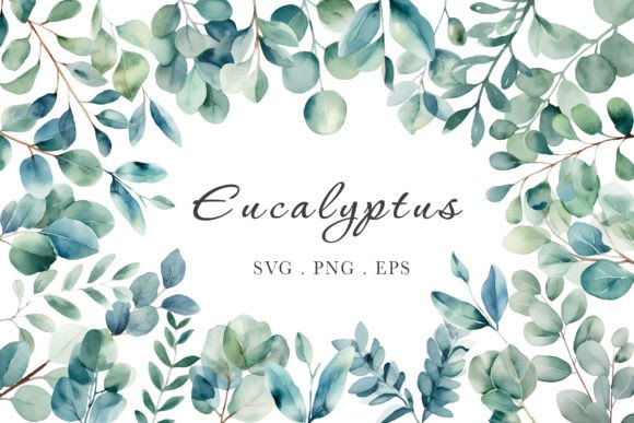 Download Eucalyptus Watercolor Bundle PNG SVG EPS - Eucalyptus watercolor Collection