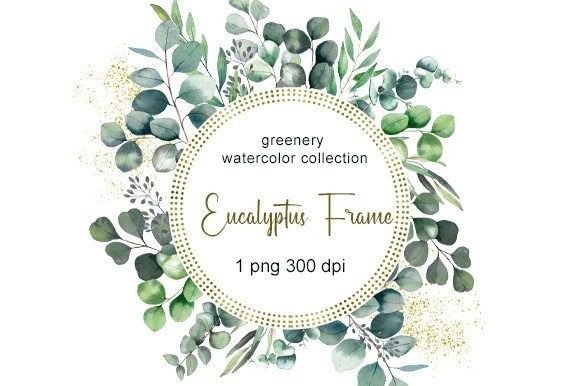 Download Eucalyptus Watercolor Clipart. Clipart - Eucalyptus watercolor Collection