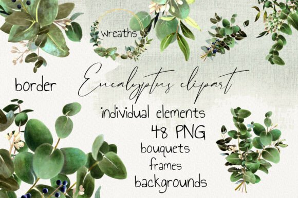 Download Eucalyptus Clipart Set PNG - Eucalyptus clipart Collection