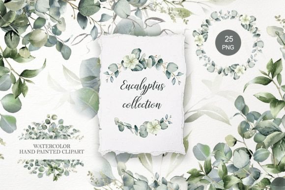 Download Eucalyptus Clipart. Watercolor Greenery - Eucalyptus clipart Collection