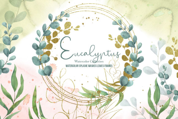 Download Eucalyptus Watercolor Collection - Eucalyptus watercolor Collection