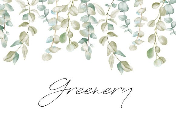 Download Watercolor Greenery Eucalyptus Clipart - Eucalyptus clipart Collection