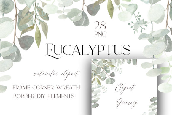 Download Eucalyptus Watercolor Bundle Png - Eucalyptus watercolor Collection