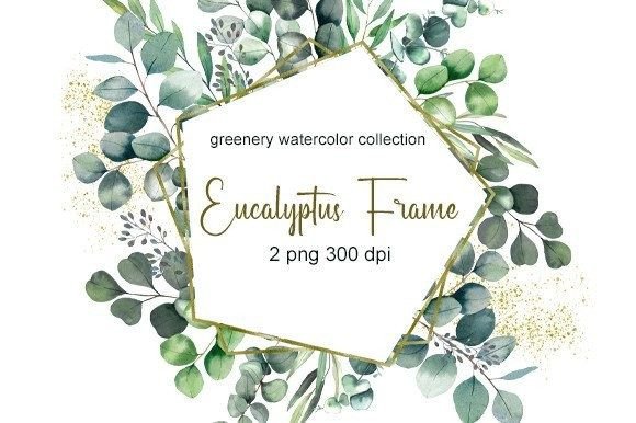Download Eucalyptus Watercolor Clipart. Clipart - Eucalyptus watercolor Collection
