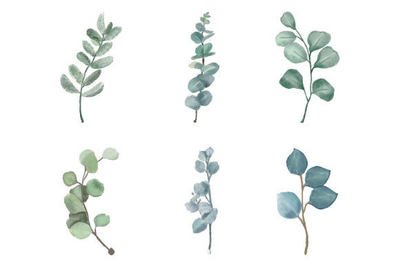 Download Watercolor Eucalyptus Clipart SVG PNG - Eucalyptus clipart Collection