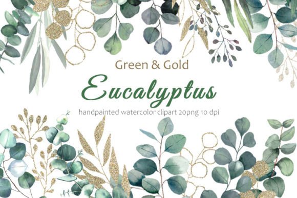 Download Eucalyptus Clipart. Eucalyptus Leaves - Eucalyptus clipart Collection