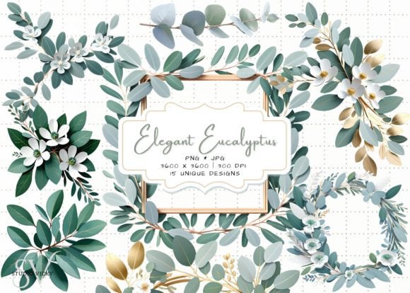 Download Elegant Eucalyptus Clipart - Eucalyptus clipart Collection